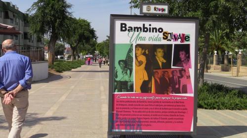expo-bambino-paseo-7