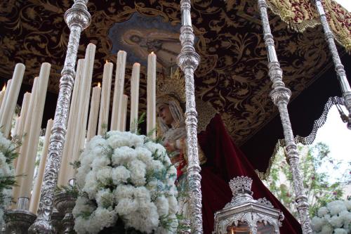 hdad-Estudiantes-Logo-60