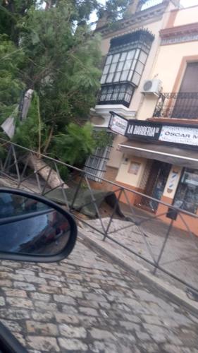 fuerte viento en utrera 22 octubre 2023