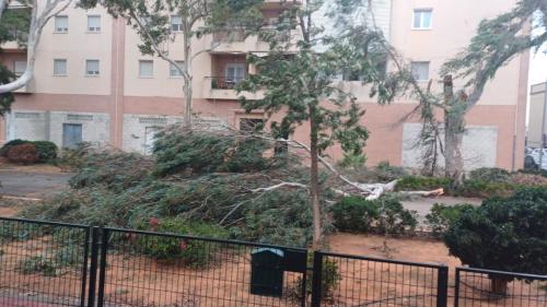 fuerte viento en utrera 22 octubre 2023