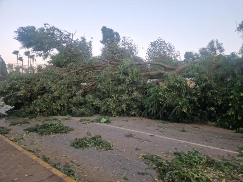 fuerte viento en utrera 22 octubre 2023