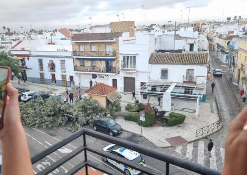 arbol caido av maria auxliadora