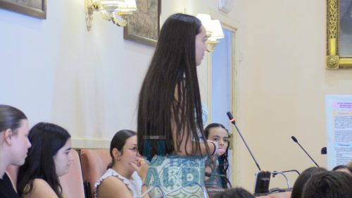 IMG 2393